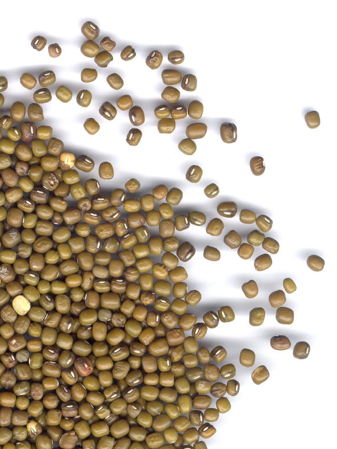 Green Mung Beans