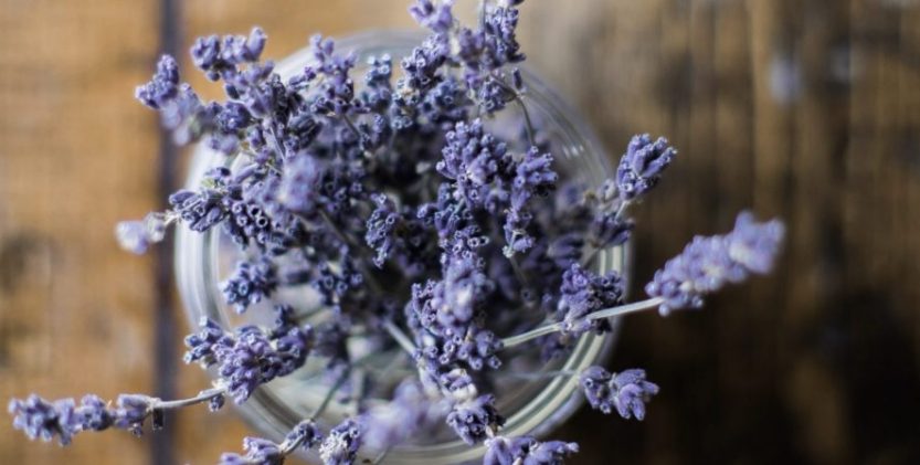 Lavender: Health Benefits, and Different Forms and Uses as a Therapeutic Plant
