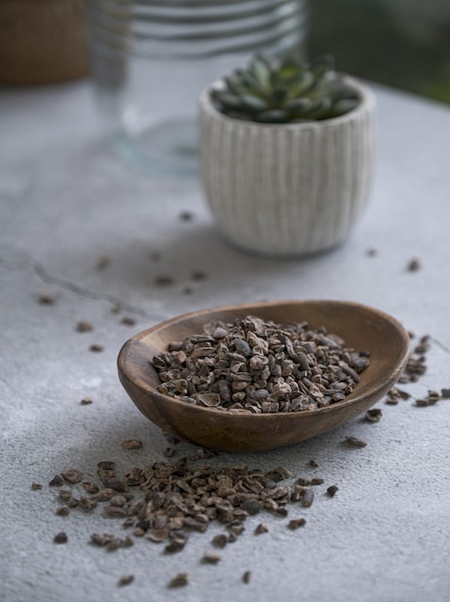 Pure Cacao Nibs