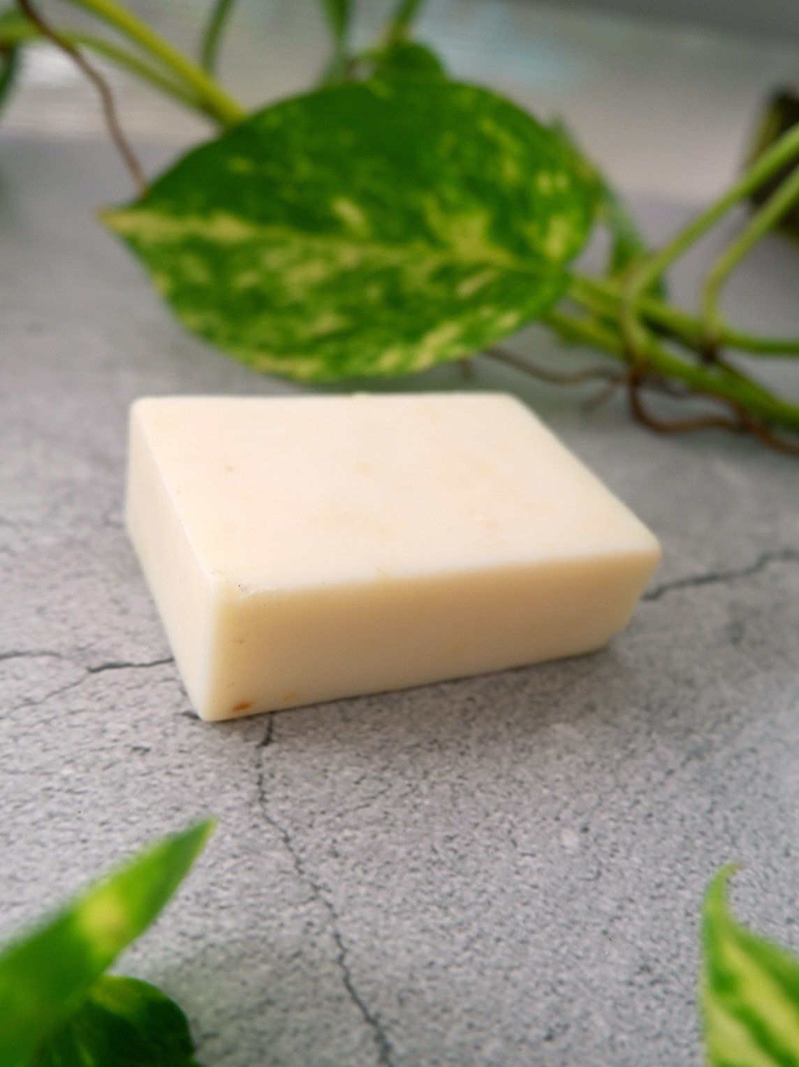Organic Calamansi Soap Bar