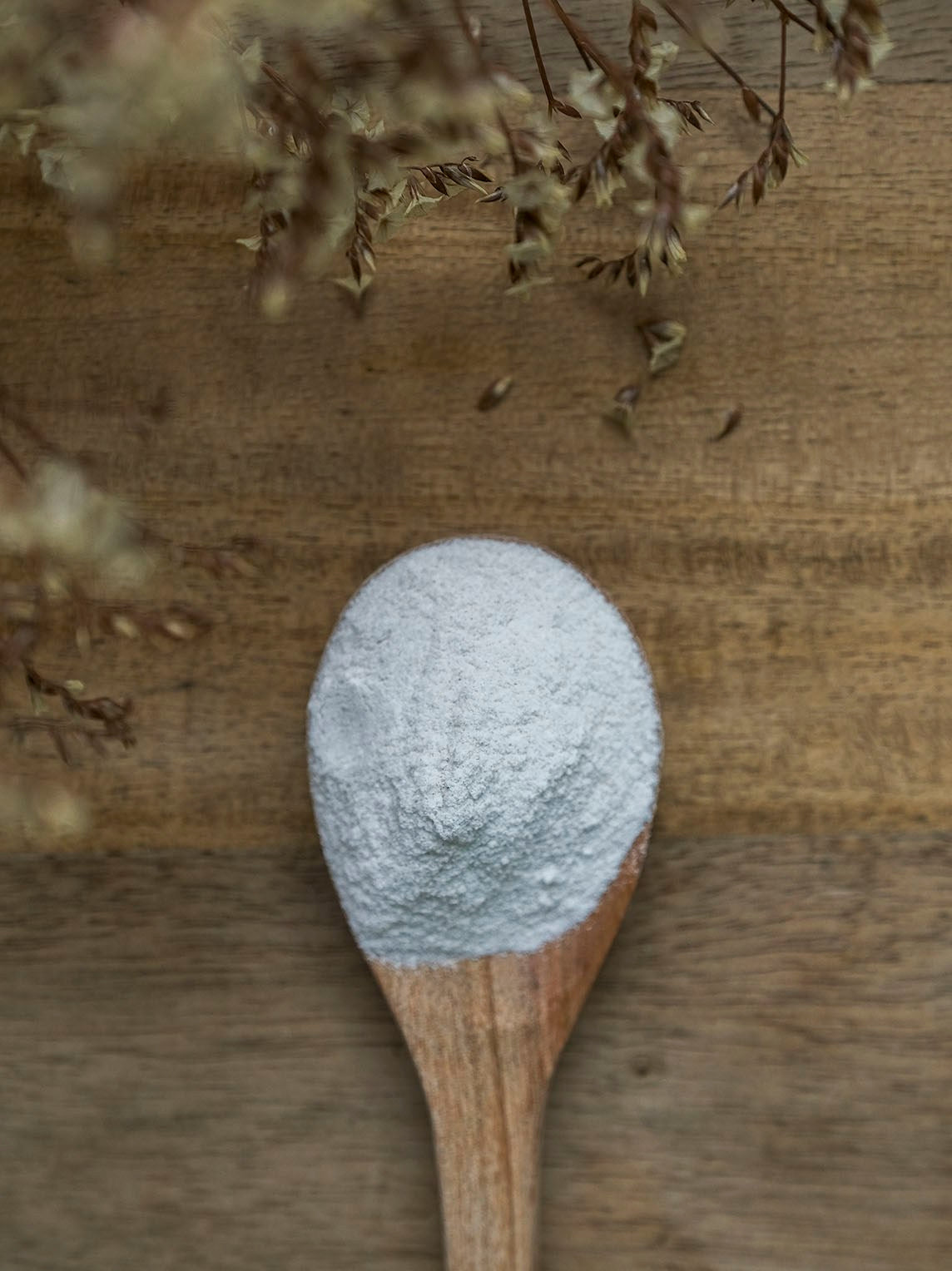 Stevia Extract Powder